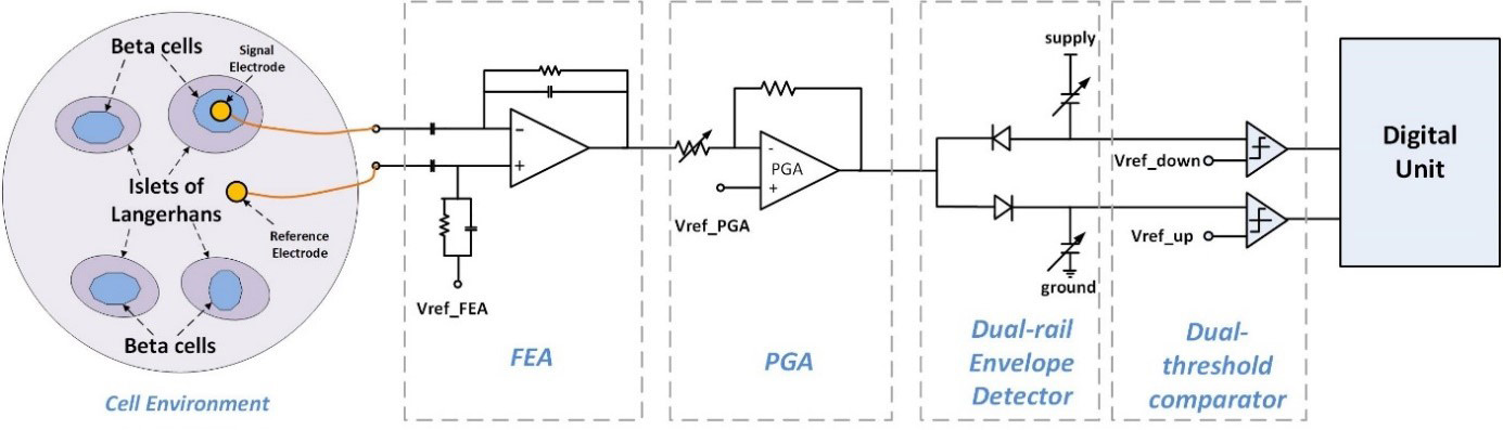 PanaMEA – ASIC für ein Miniatur-Pankreas-Implantat