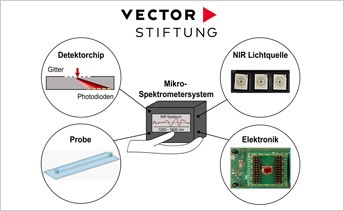 vector stiftung