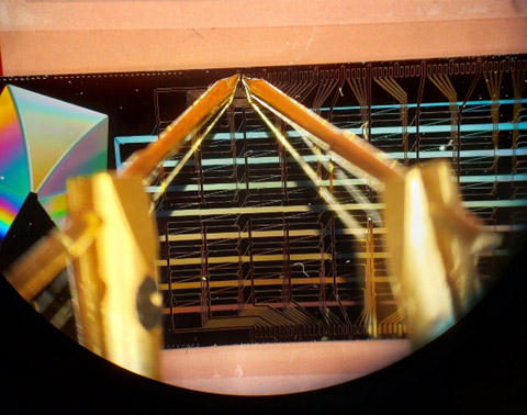 P4Q startet 2026 mit 50 Mio. € für skalierbare Quantenphotonik